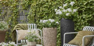 Krása nedokonalosti – tipy na dekorace s muškáty Muškáty (Geraniums)- Dokonale nedokonalý dekor s muškáty