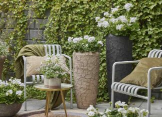Krása nedokonalosti – tipy na dekorace s muškáty Muškáty (Geraniums)- Dokonale nedokonalý dekor s muškáty